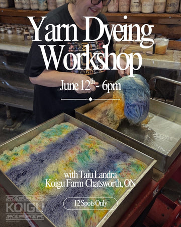 Yarn Dyeing Workshop - June 12th 6:00PM
