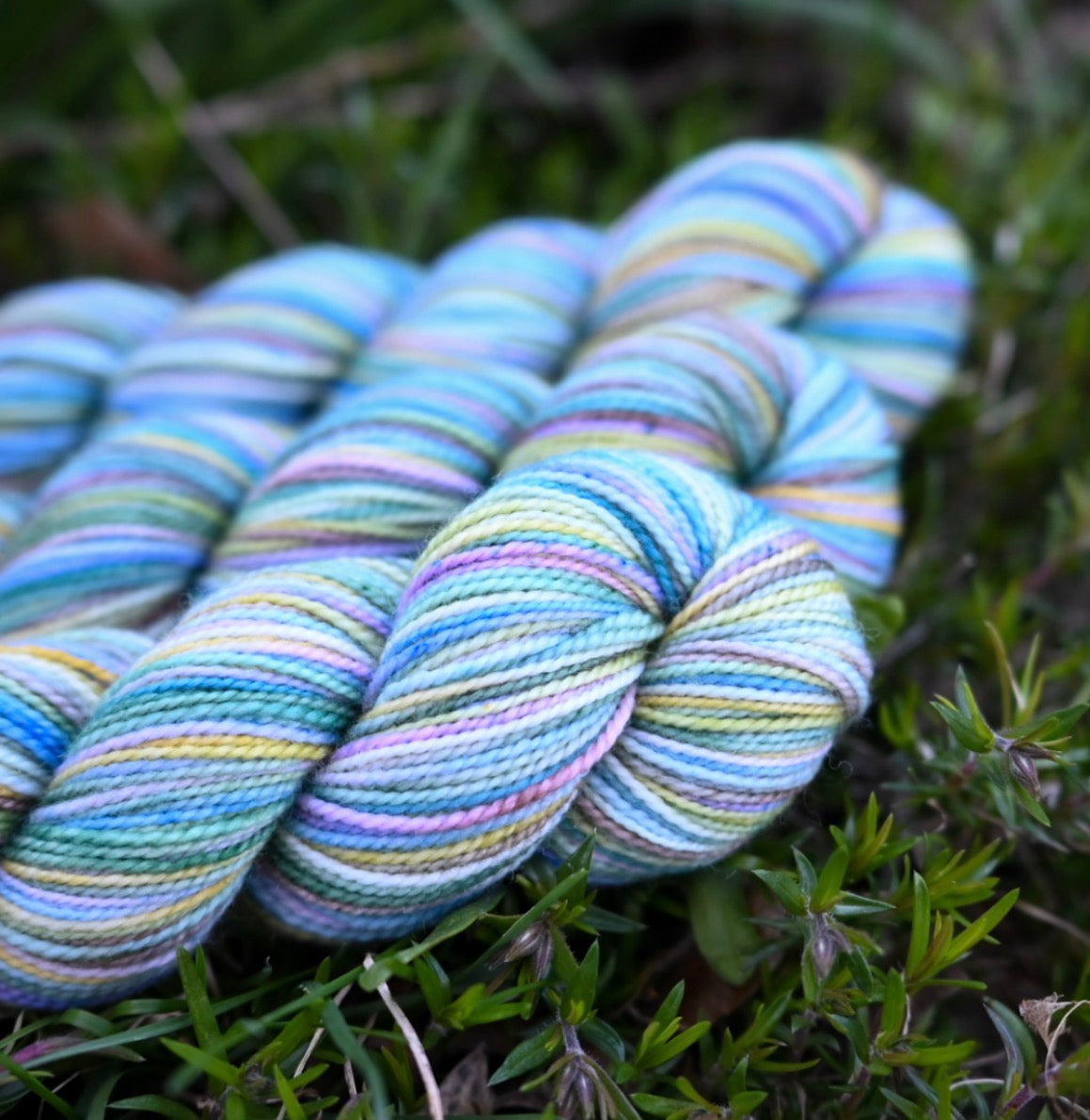 Koigu Collector Originals
