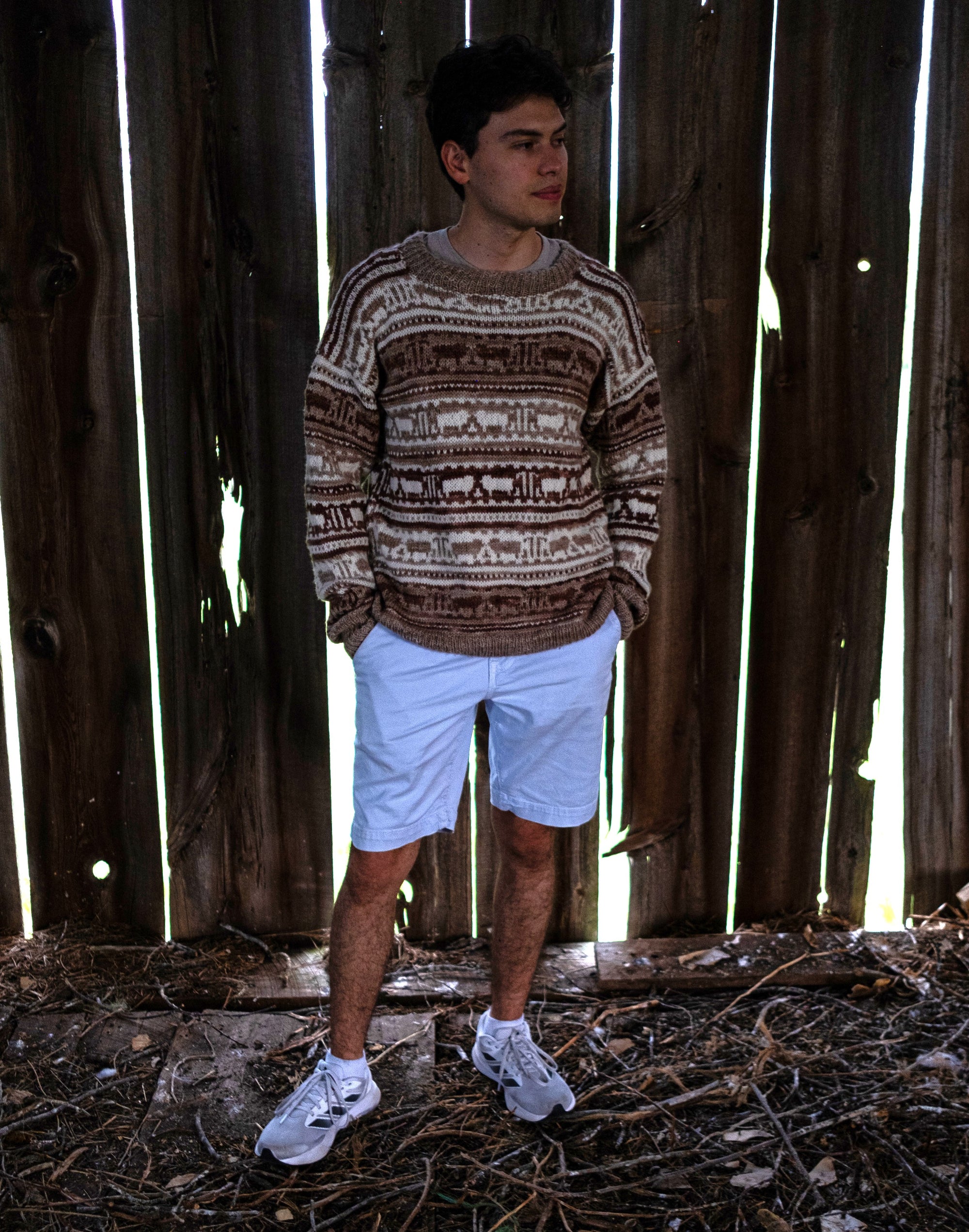 Koigu Sheep Sweater Kit