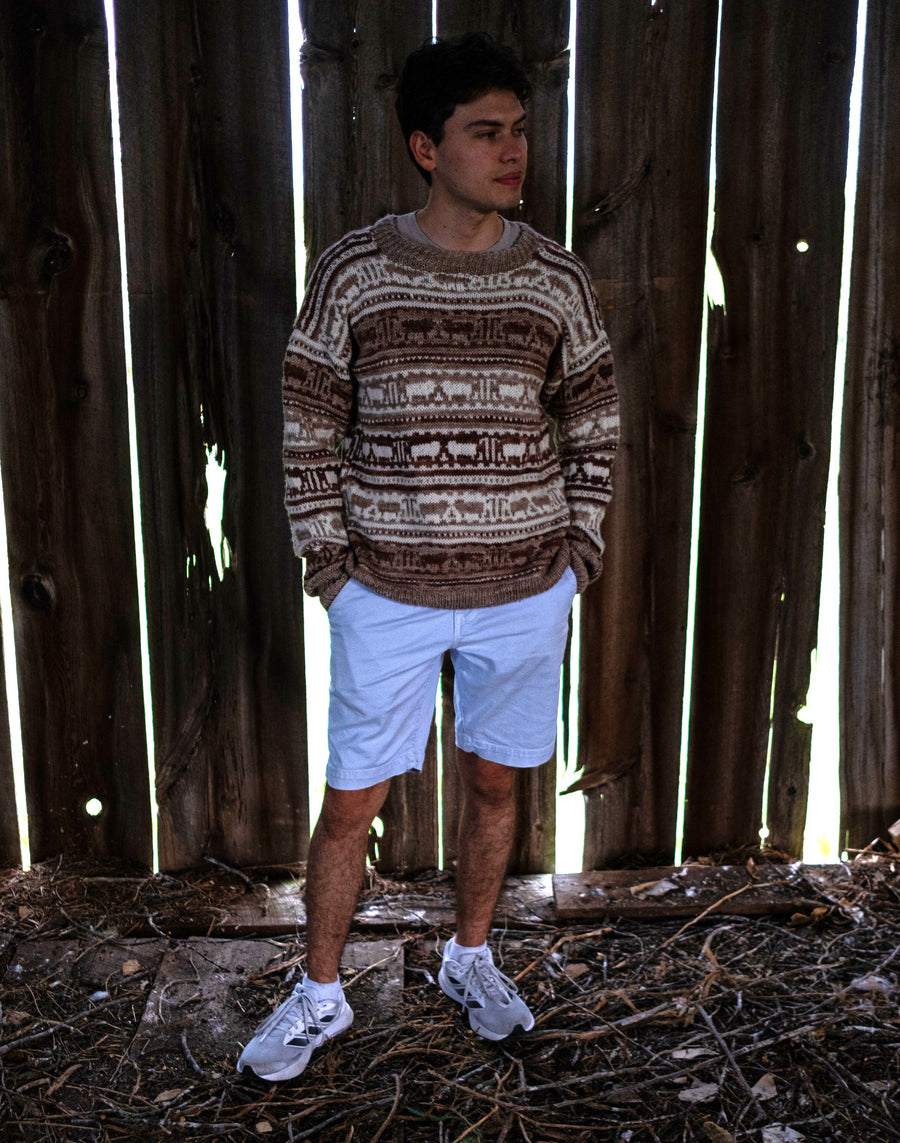 Koigu Sheep Sweater Kit