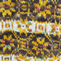 Visions of Spring Sweater Kit