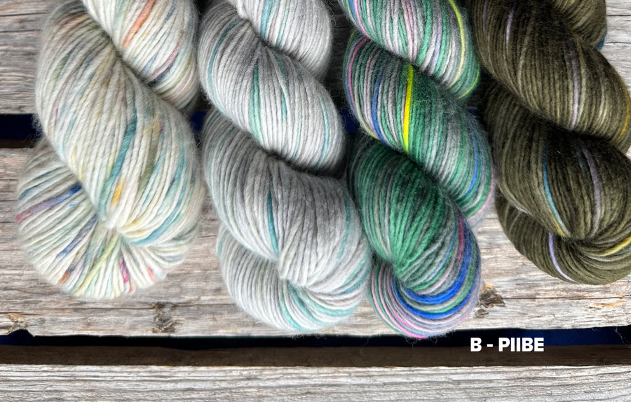 Visions of Spring Sweater Kit