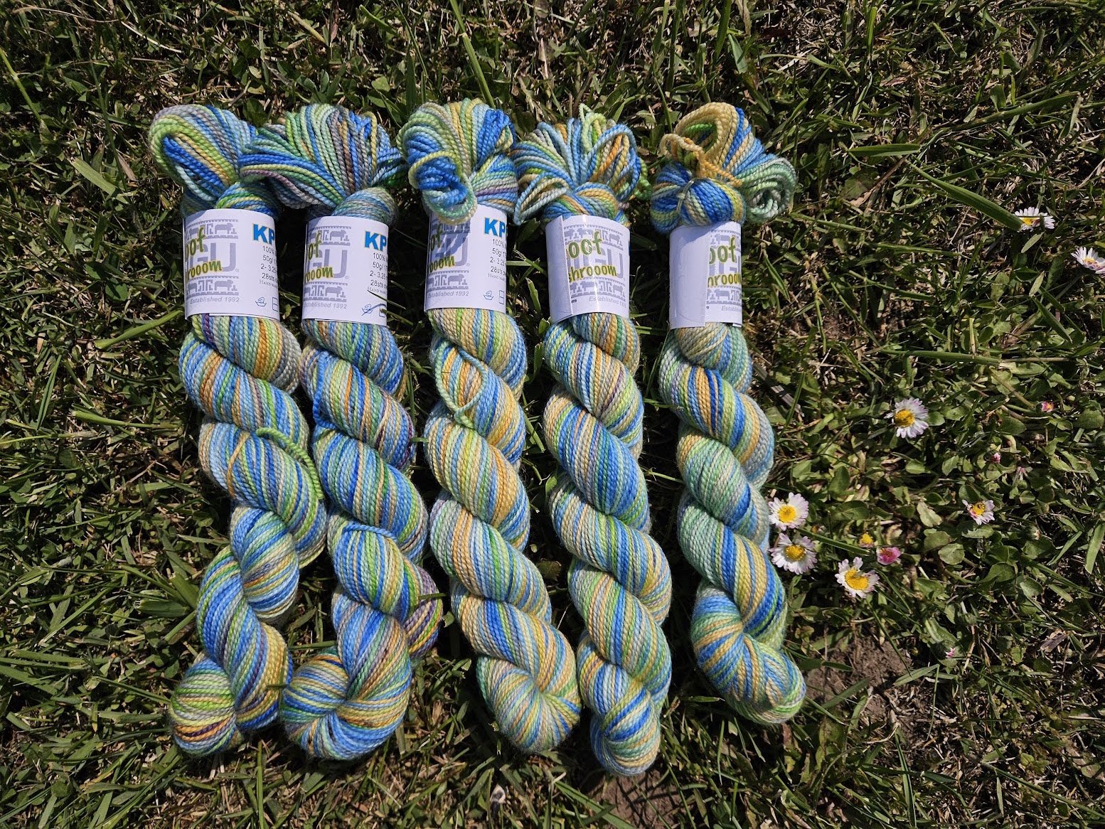 Koigu Collector Originals