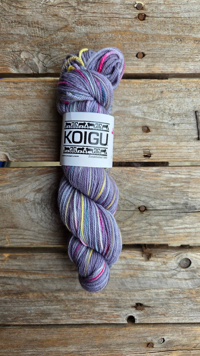 Single Variegated Skeins - Jasmine DK Merino - SALE