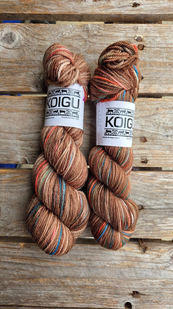 Single Variegated Skeins - Jasmine DK Merino - SALE