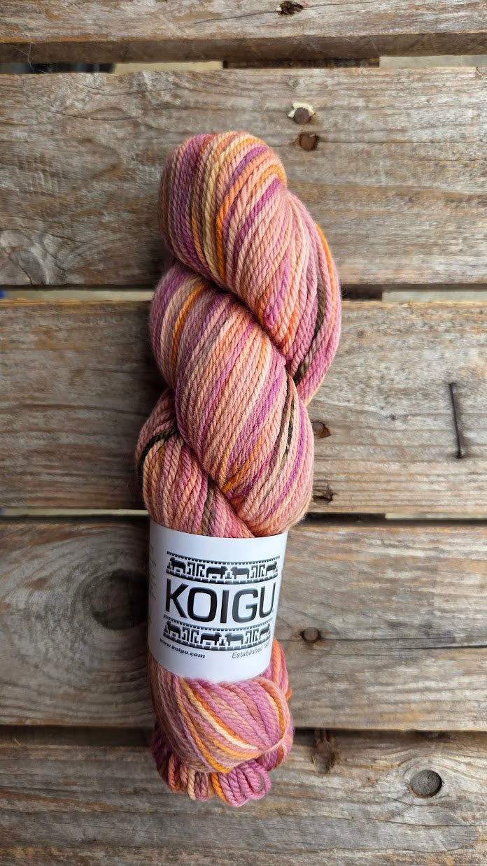 Single Variegated Skeins - Jasmine DK Merino - SALE