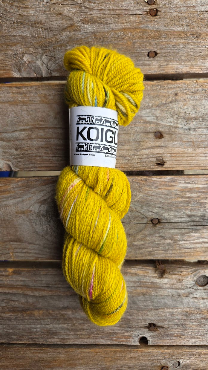 Single Variegated Skeins - Jasmine DK Merino - SALE