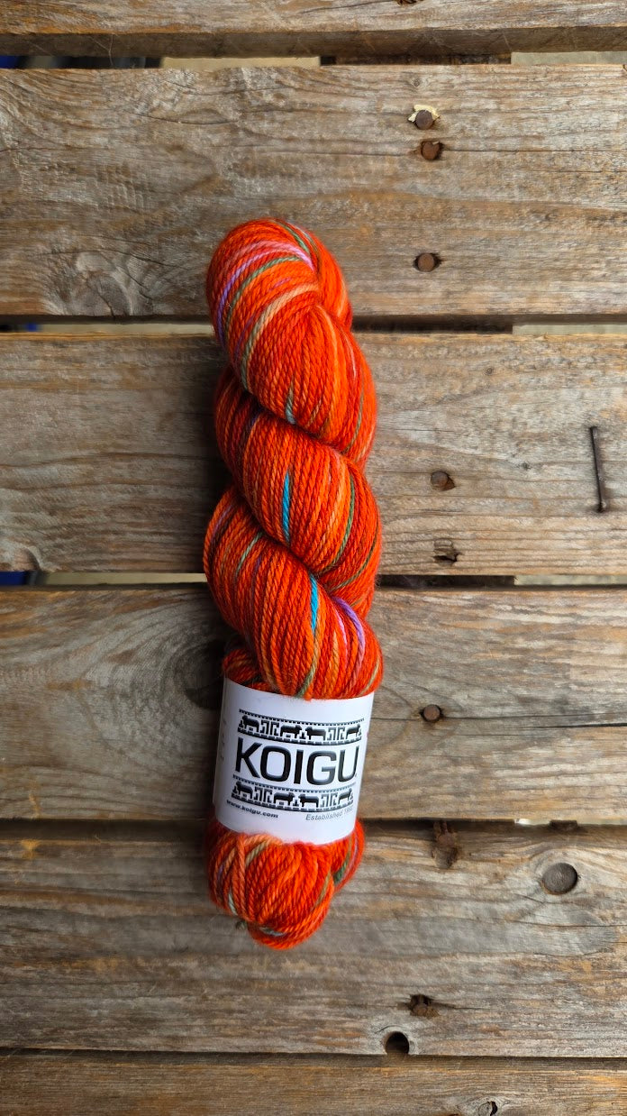 Single Variegated Skeins - Jasmine DK Merino - SALE