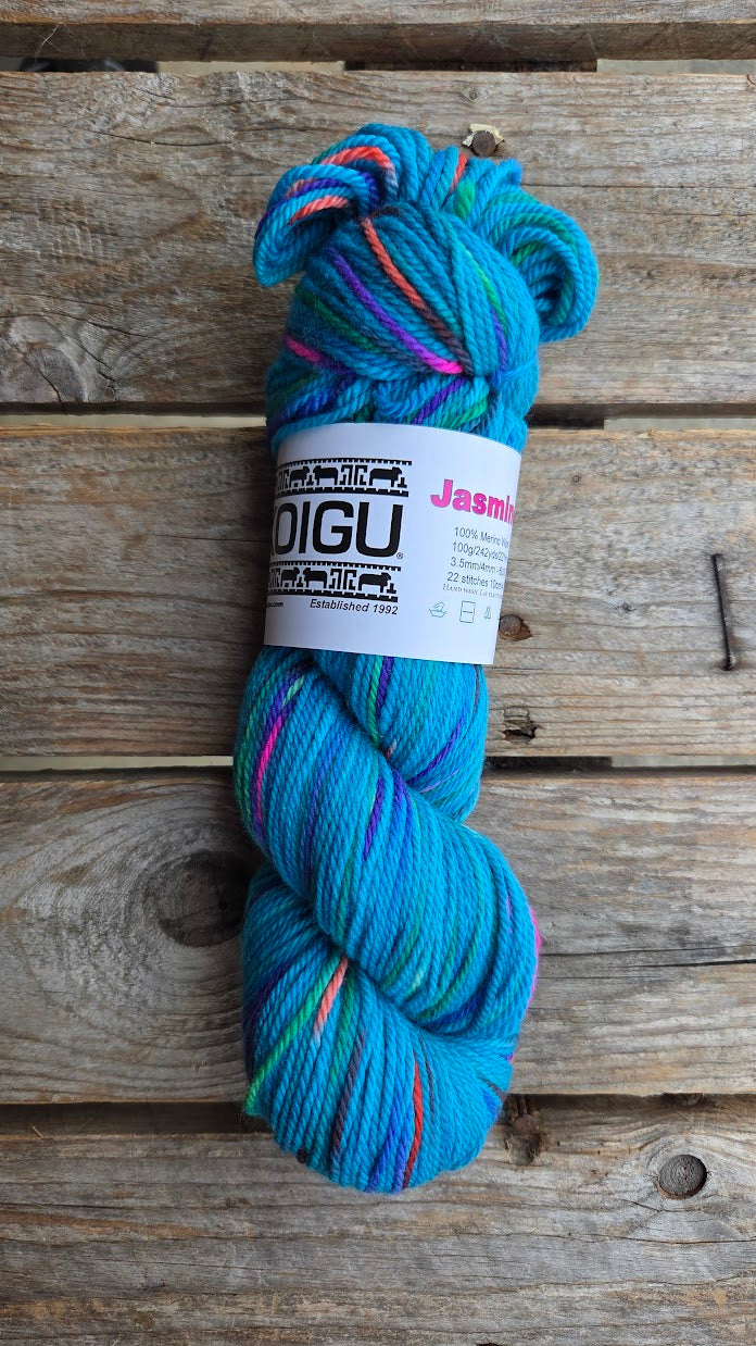 Single Variegated Skeins - Jasmine DK Merino - SALE