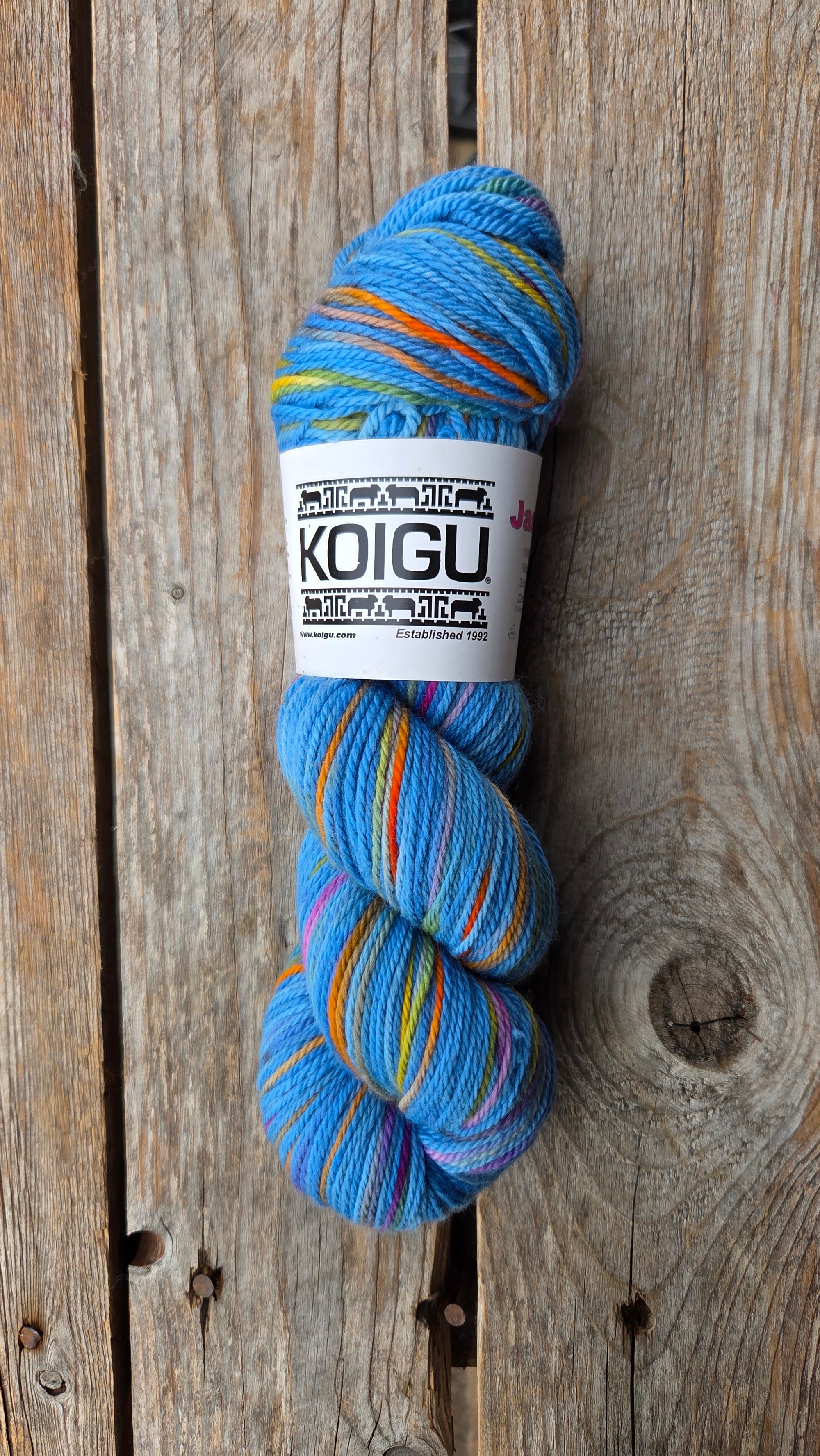 Single Variegated Skeins - Jasmine DK Merino - SALE