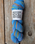 Single Variegated Skeins - Jasmine DK Merino - SALE