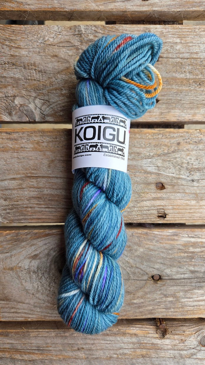Single Variegated Skeins - Jasmine DK Merino - SALE