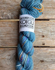 Single Variegated Skeins - Jasmine DK Merino - SALE