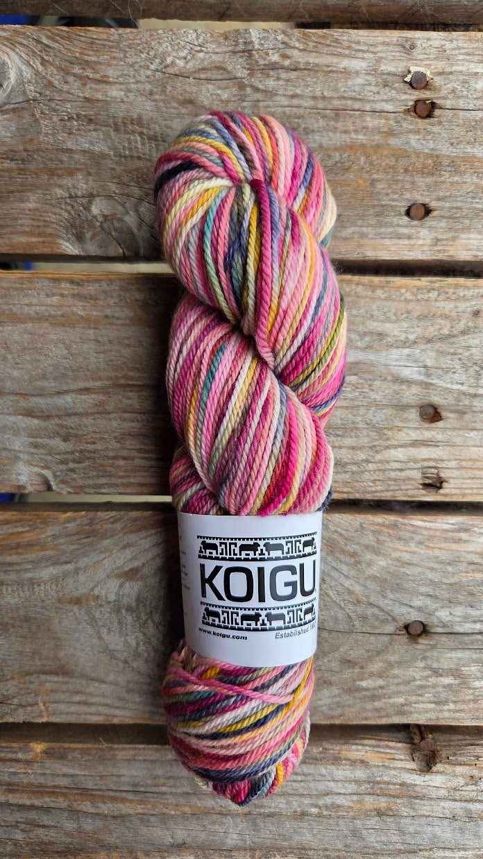 Single Variegated Skeins - Jasmine DK Merino - SALE