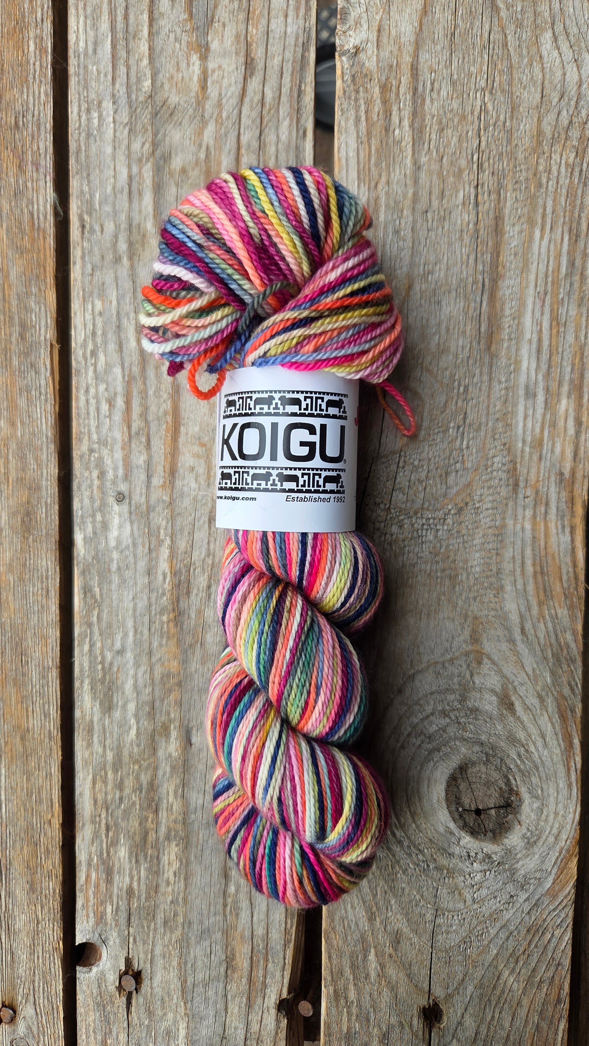 Single Variegated Skeins - Jasmine DK Merino - SALE