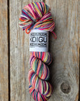 Single Variegated Skeins - Jasmine DK Merino - SALE