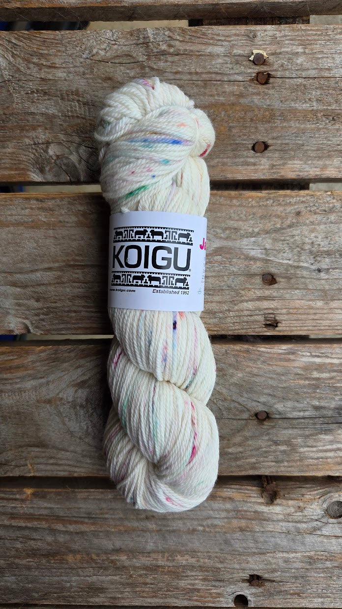 Single Variegated Skeins - Jasmine DK Merino - SALE