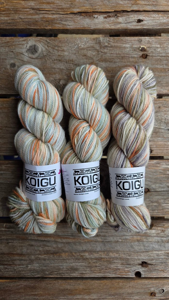 Single Variegated Skeins - Jasmine DK Merino - SALE