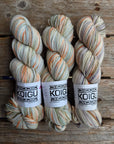 Single Variegated Skeins - Jasmine DK Merino - SALE