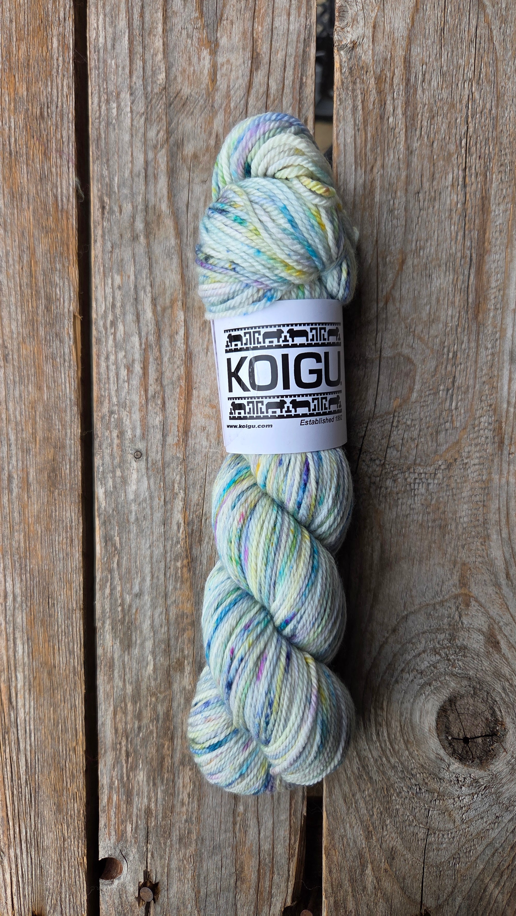 Single Variegated Skeins - Jasmine DK Merino - SALE