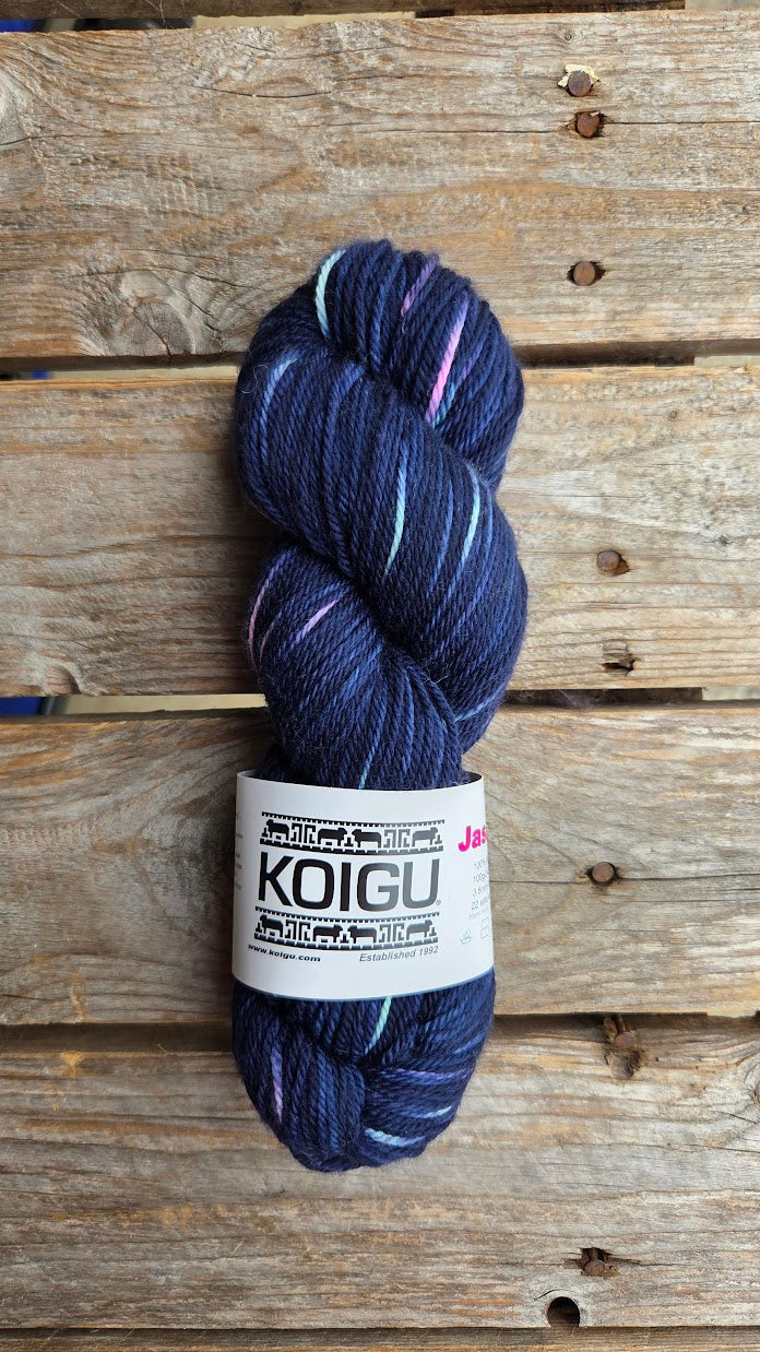 Single Variegated Skeins - Jasmine DK Merino - SALE