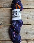 Single Variegated Skeins - Jasmine DK Merino - SALE