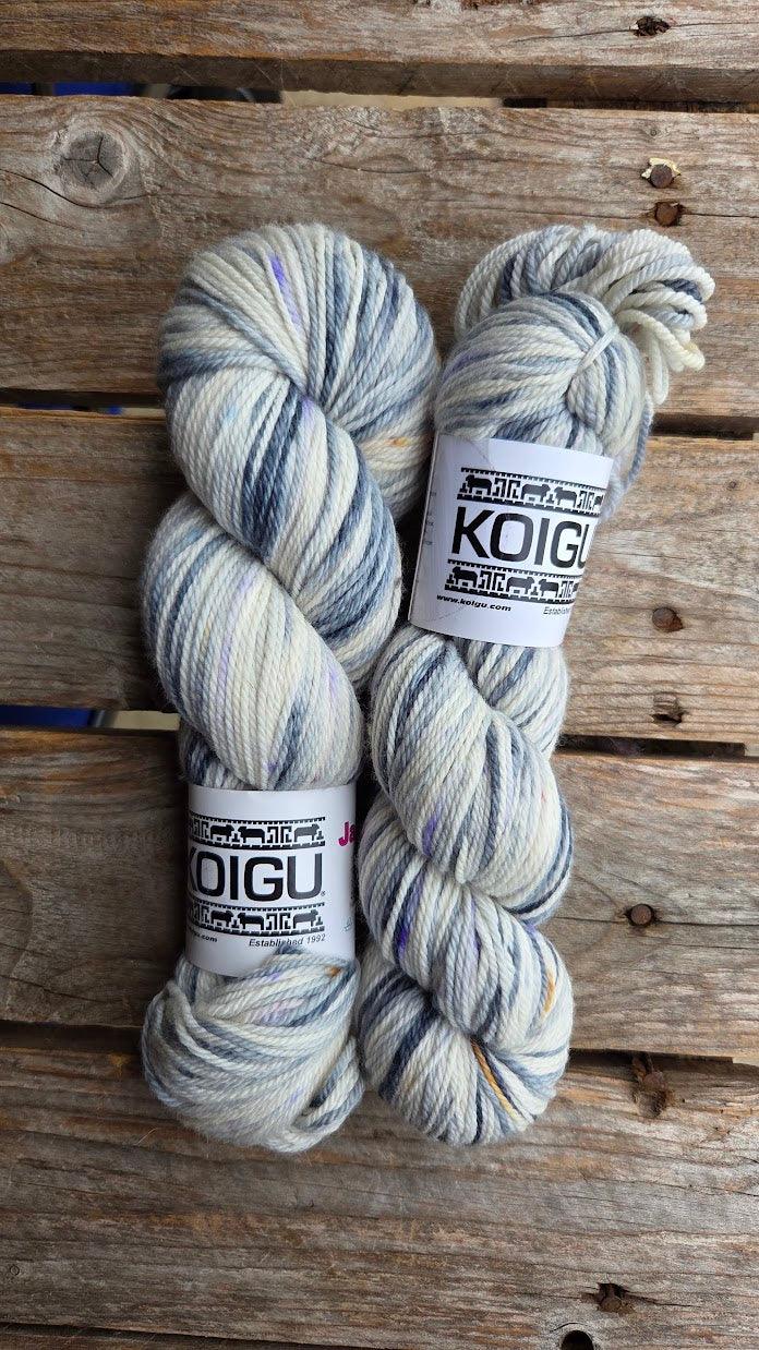 Single Variegated Skeins - Jasmine DK Merino - SALE