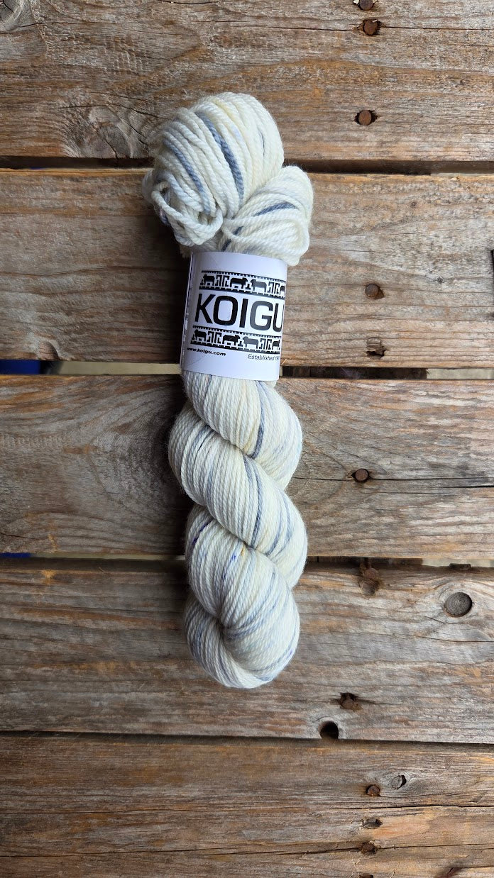 Single Variegated Skeins - Jasmine DK Merino - SALE