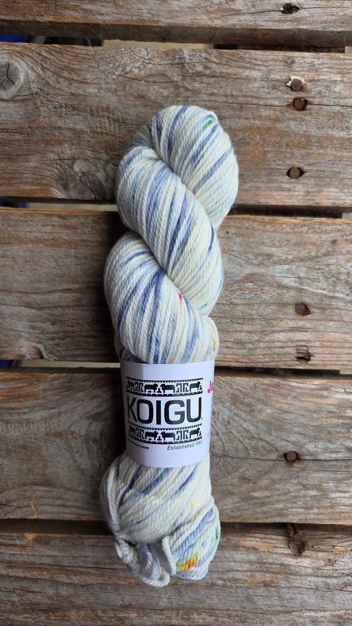Single Variegated Skeins - Jasmine DK Merino - SALE