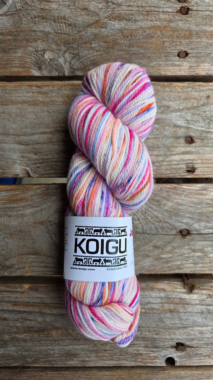 Single Variegated Skeins - Jasmine DK Merino - SALE