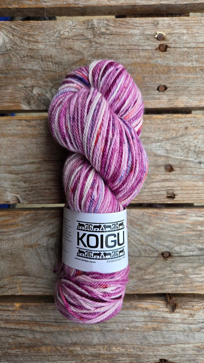 Single Variegated Skeins - Jasmine DK Merino - SALE