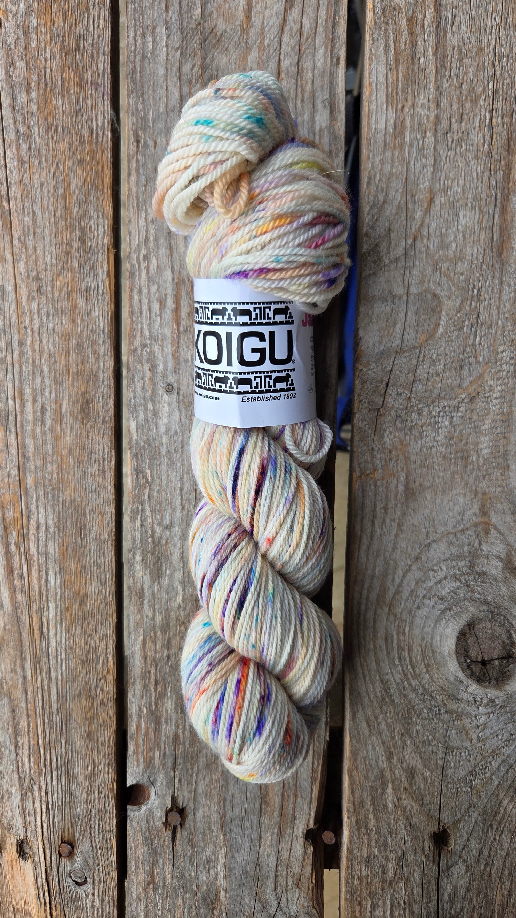 Single Variegated Skeins - Jasmine DK Merino - SALE