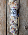Single Variegated Skeins - Jasmine DK Merino - SALE