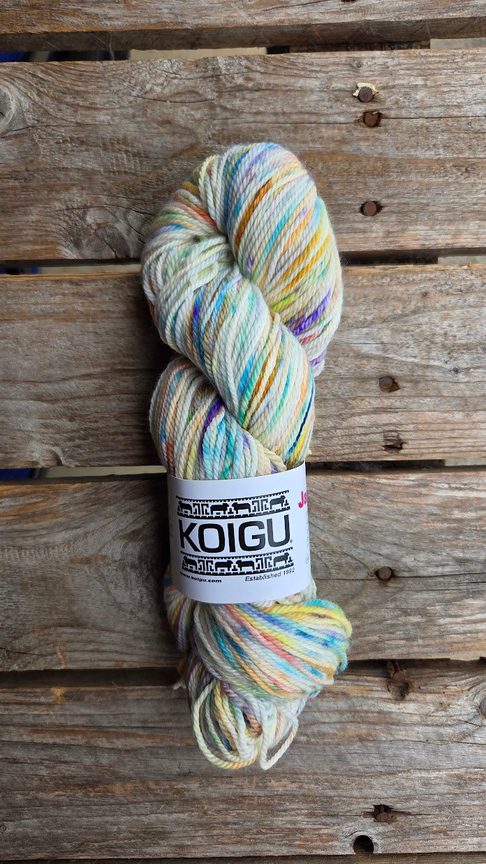 Single Variegated Skeins - Jasmine DK Merino - SALE