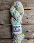 Single Variegated Skeins - Jasmine DK Merino - SALE
