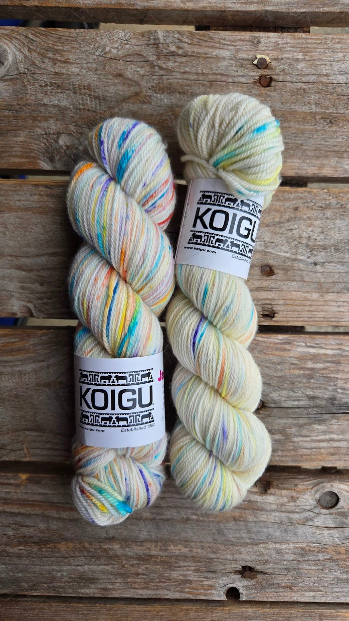 Single Variegated Skeins - Jasmine DK Merino - SALE