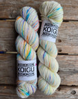 Single Variegated Skeins - Jasmine DK Merino - SALE