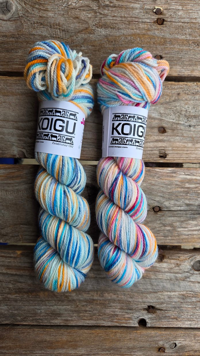 Single Variegated Skeins - Jasmine DK Merino - SALE