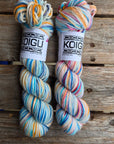 Single Variegated Skeins - Jasmine DK Merino - SALE