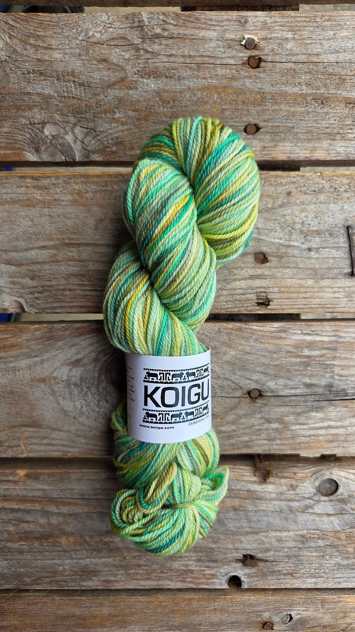 Single Variegated Skeins - Jasmine DK Merino - SALE