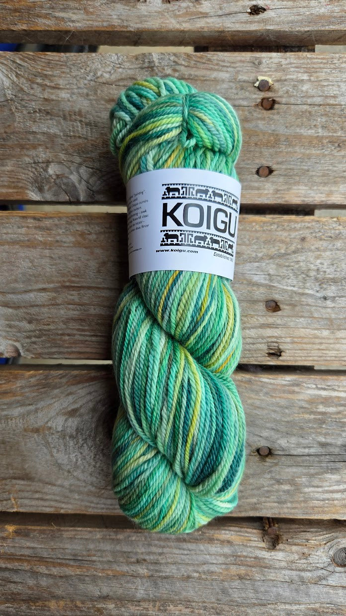 Single Variegated Skeins - Jasmine DK Merino - SALE