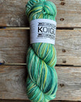 Single Variegated Skeins - Jasmine DK Merino - SALE