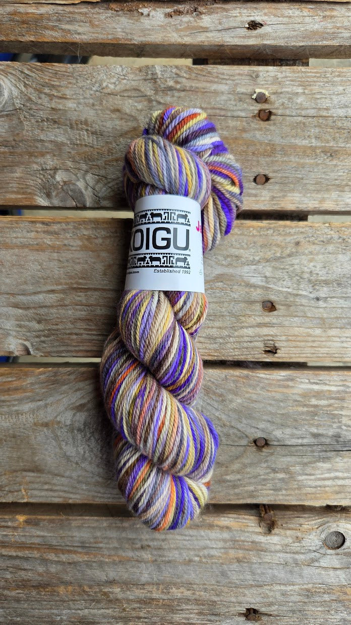 Single Variegated Skeins - Jasmine DK Merino - SALE