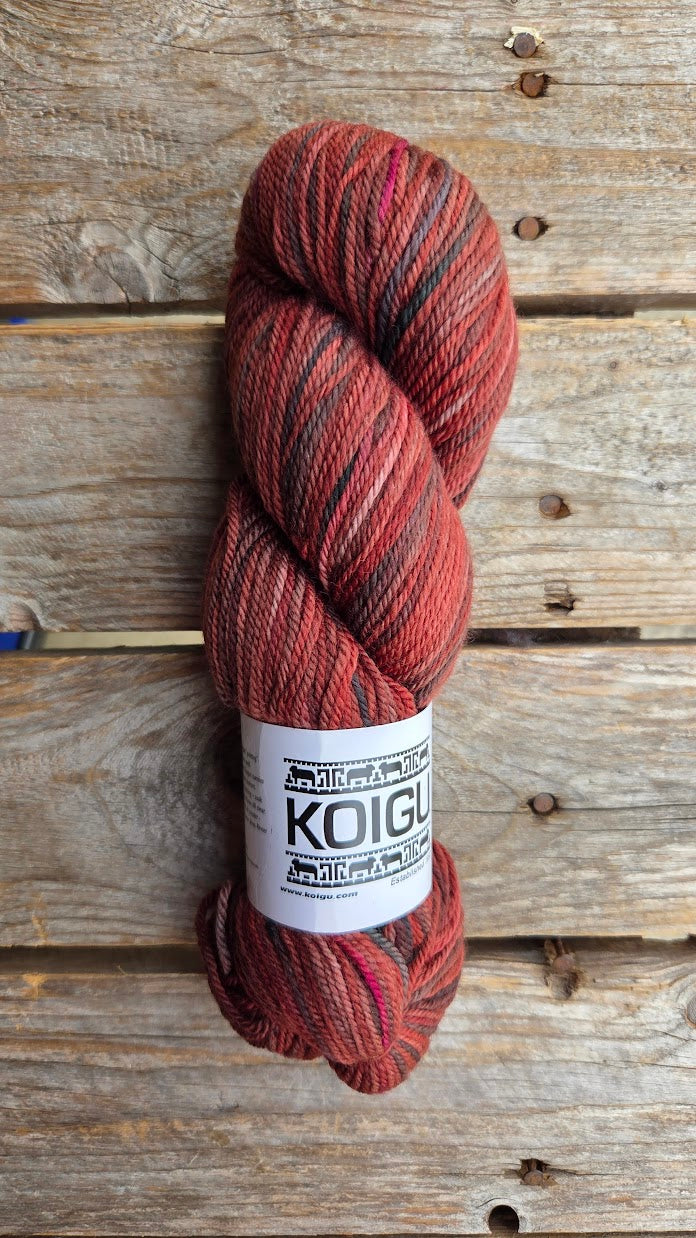 Single Variegated Skeins - Jasmine DK Merino - SALE