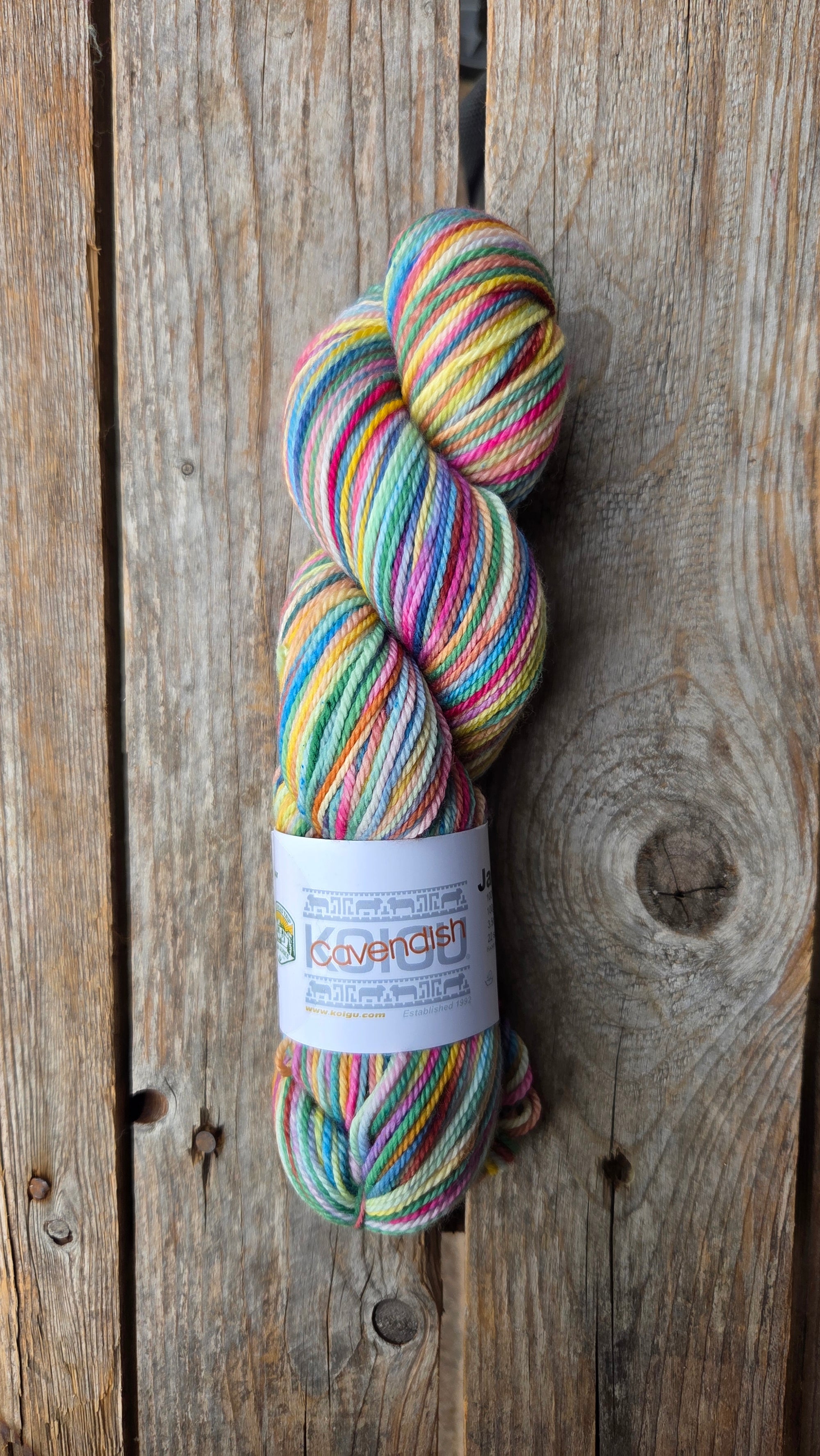 Single Variegated Skeins - Jasmine DK Merino - SALE