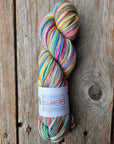 Single Variegated Skeins - Jasmine DK Merino - SALE