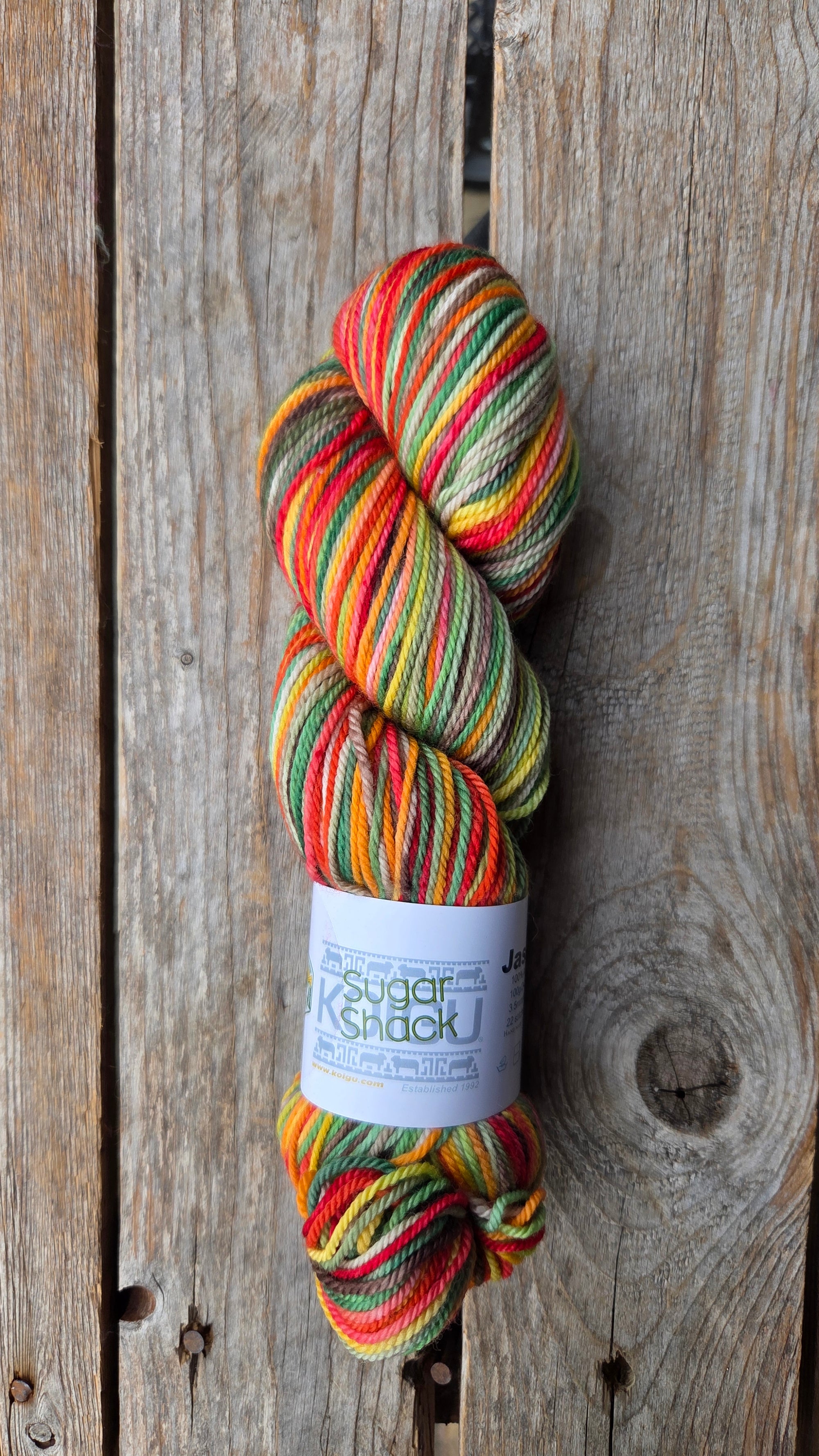 Single Variegated Skeins - Jasmine DK Merino - SALE