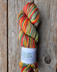 Single Variegated Skeins - Jasmine DK Merino - SALE