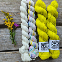 Lilleke Sock Kit