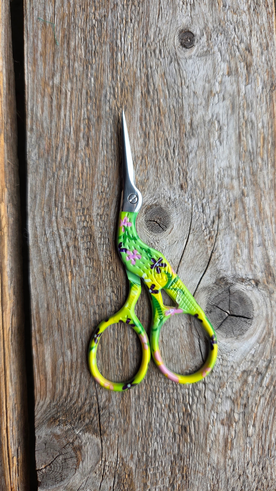 Mini Scissors with Case